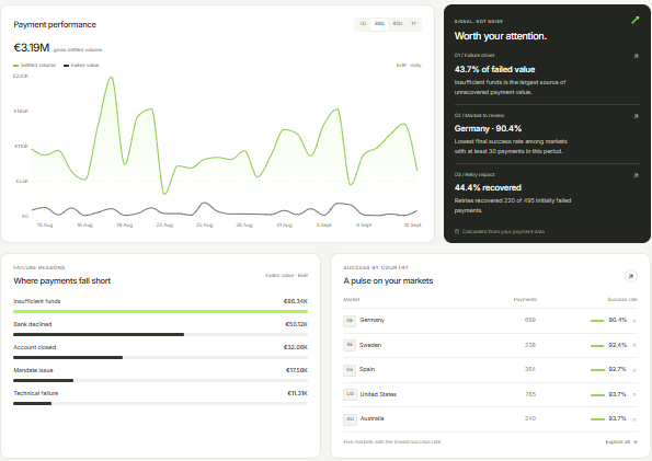 Payment Intelligence Dashboard preview